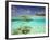 South Huvadhoo Atoll, Southern Maldives, Indian Ocean-Stuart Westmorland-Framed Photographic Print