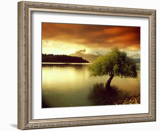 South Island New Zealand-null-Framed Photographic Print