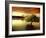 South Island New Zealand-null-Framed Photographic Print