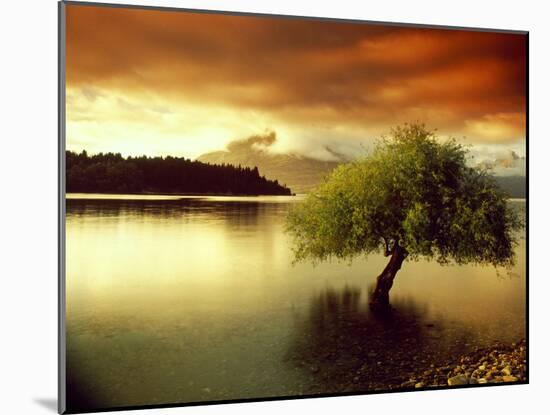 South Island New Zealand-null-Mounted Photographic Print