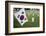 South Korean Flag Hanging at 2014 Memorial Day Event, Los Angeles National Cemetery, California, US-Joseph Sohm-Framed Photographic Print