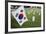 South Korean Flag Hanging at 2014 Memorial Day Event, Los Angeles National Cemetery, California, US-Joseph Sohm-Framed Photographic Print