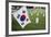 South Korean Flag Hanging at 2014 Memorial Day Event, Los Angeles National Cemetery, California, US-Joseph Sohm-Framed Photographic Print