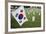 South Korean Flag Hanging at 2014 Memorial Day Event, Los Angeles National Cemetery, California, US-Joseph Sohm-Framed Photographic Print