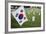 South Korean Flag Hanging at 2014 Memorial Day Event, Los Angeles National Cemetery, California, US-Joseph Sohm-Framed Photographic Print