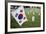 South Korean Flag Hanging at 2014 Memorial Day Event, Los Angeles National Cemetery, California, US-Joseph Sohm-Framed Photographic Print