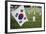 South Korean Flag Hanging at 2014 Memorial Day Event, Los Angeles National Cemetery, California, US-Joseph Sohm-Framed Photographic Print