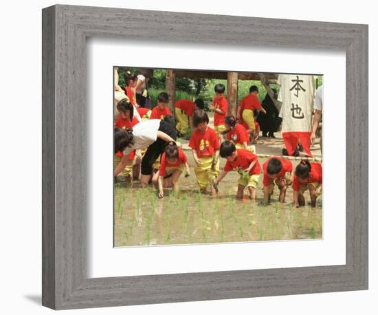 South Korean Kindergarten Pupils Plant Rice Seedlings-null-Framed Photographic Print