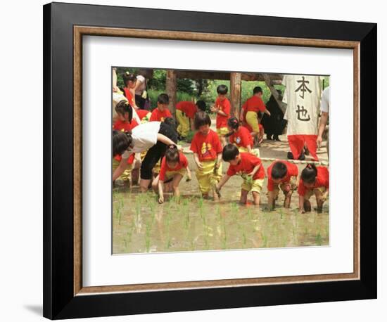 South Korean Kindergarten Pupils Plant Rice Seedlings-null-Framed Photographic Print