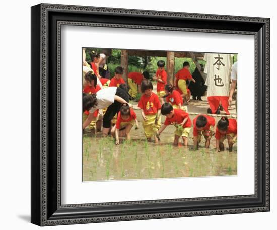 South Korean Kindergarten Pupils Plant Rice Seedlings-null-Framed Photographic Print