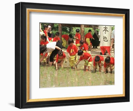 South Korean Kindergarten Pupils Plant Rice Seedlings-null-Framed Photographic Print