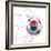 South Korean Soccer Ball in a Net-zentilia-Framed Art Print