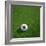 South Korean Soccerball Lying on Grass-zentilia-Framed Art Print