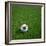 South Korean Soccerball Lying on Grass-zentilia-Framed Art Print