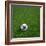 South Korean Soccerball Lying on Grass-zentilia-Framed Art Print