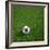 South Korean Soccerball Lying on Grass-zentilia-Framed Art Print