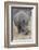 South Londolozi Private Game Reserve. Close-up of Rhinoceros Grazing-Fred Lord-Framed Photographic Print