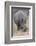 South Londolozi Private Game Reserve. Close-up of Rhinoceros Grazing-Fred Lord-Framed Photographic Print