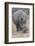 South Londolozi Private Game Reserve. Close-up of Rhinoceros Grazing-Fred Lord-Framed Photographic Print