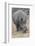 South Londolozi Private Game Reserve. Close-up of Rhinoceros Grazing-Fred Lord-Framed Photographic Print