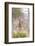 South Londolozi Private Game Reserve. Giraffe Stands under Tree-Fred Lord-Framed Photographic Print