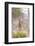 South Londolozi Private Game Reserve. Giraffe Stands under Tree-Fred Lord-Framed Photographic Print