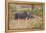 South Londolozi Private Game Reserve. Rhinoceros Mother and Offspring-Fred Lord-Framed Premier Image Canvas