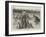 South of England Lawn Tennis Tournament at Devonshire Park, Eastbourne-null-Framed Giclee Print