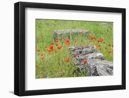 South of France, St. Remy, Glanum, Fortified Roman Town in Provence-Emily Wilson-Framed Photographic Print