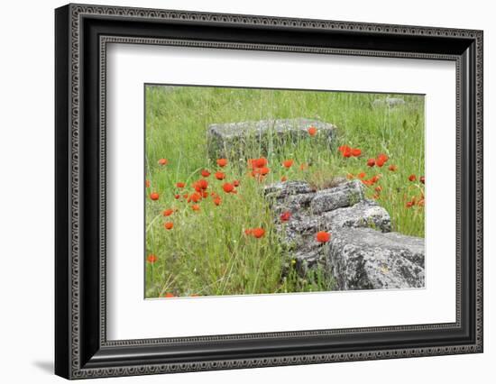 South of France, St. Remy, Glanum, Fortified Roman Town in Provence-Emily Wilson-Framed Photographic Print