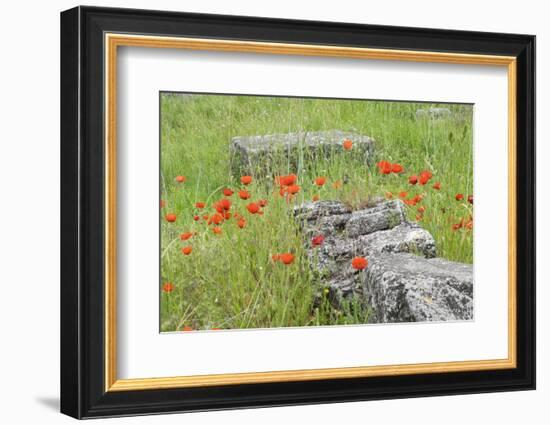 South of France, St. Remy, Glanum, Fortified Roman Town in Provence-Emily Wilson-Framed Photographic Print