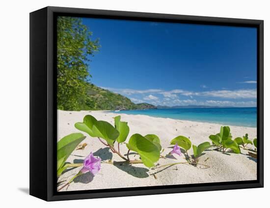 South Pacific, Fiji, Kadavu, Deserted Beach on the East Coast of Yaukuve Island-Paul Harris-Framed Premier Image Canvas