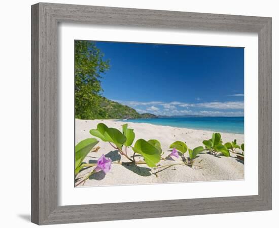 South Pacific, Fiji, Kadavu, Deserted Beach on the East Coast of Yaukuve Island-Paul Harris-Framed Photographic Print