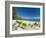 South Pacific, Fiji, Kadavu, Deserted Beach on the East Coast of Yaukuve Island-Paul Harris-Framed Photographic Print