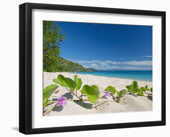 South Pacific, Fiji, Kadavu, Deserted Beach on the East Coast of Yaukuve Island-Paul Harris-Framed Photographic Print