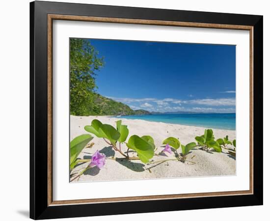 South Pacific, Fiji, Kadavu, Deserted Beach on the East Coast of Yaukuve Island-Paul Harris-Framed Photographic Print