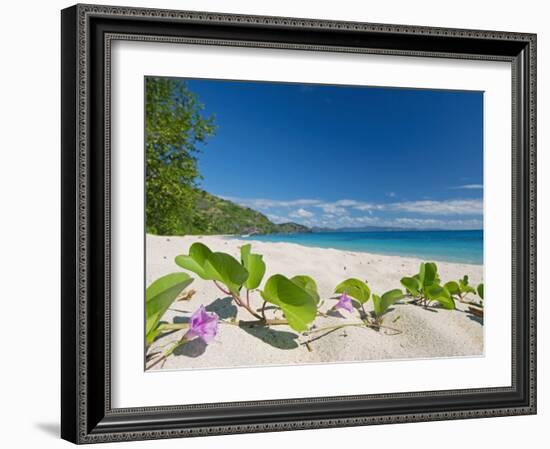 South Pacific, Fiji, Kadavu, Deserted Beach on the East Coast of Yaukuve Island-Paul Harris-Framed Photographic Print