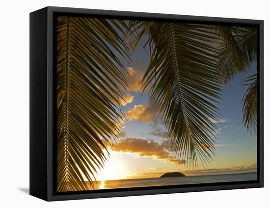 South Pacific, Fiji, Kadavu, Sunset Through Plams from the Beach on Dravuni Island-Paul Harris-Framed Premier Image Canvas