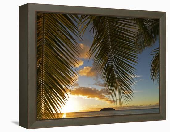 South Pacific, Fiji, Kadavu, Sunset Through Plams from the Beach on Dravuni Island-Paul Harris-Framed Premier Image Canvas