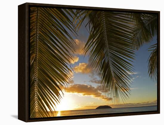 South Pacific, Fiji, Kadavu, Sunset Through Plams from the Beach on Dravuni Island-Paul Harris-Framed Premier Image Canvas