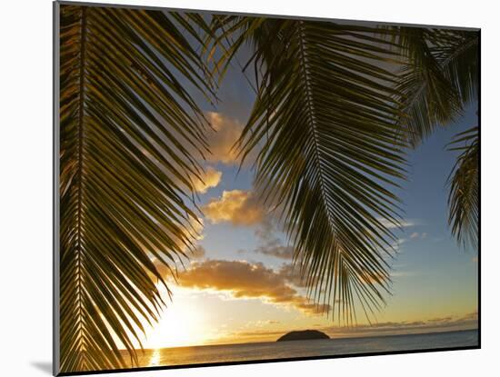 South Pacific, Fiji, Kadavu, Sunset Through Plams from the Beach on Dravuni Island-Paul Harris-Mounted Photographic Print