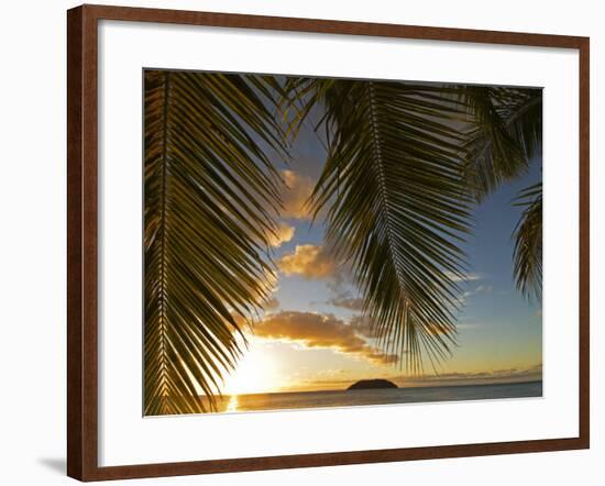 South Pacific, Fiji, Kadavu, Sunset Through Plams from the Beach on Dravuni Island-Paul Harris-Framed Photographic Print