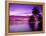 South Pacific, Morea-null-Framed Premier Image Canvas