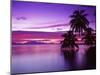 South Pacific, Morea-null-Mounted Photographic Print