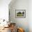 South Pasture-David Marty-Framed Giclee Print displayed on a wall