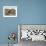 South Polar Skua (Stercorarius Maccormicki), Telephone Bay, Deception Island, Antarctica-Sergio Pitamitz-Framed Photographic Print displayed on a wall