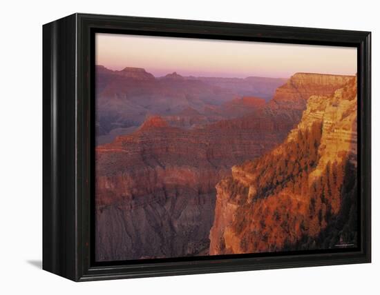 South Rim, Grand Canyon, Arizona, USA-Demetrio Carrasco-Framed Premier Image Canvas