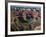 South Rim, Grand Canyon National Park, Arizona, USA-Michel Hersen-Framed Photographic Print