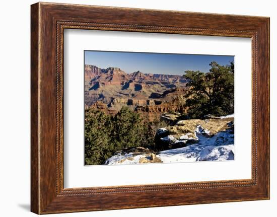 South Rim, Grand Canyon National Park, Arizona, USA-Michel Hersen-Framed Photographic Print