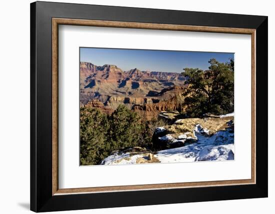 South Rim, Grand Canyon National Park, Arizona, USA-Michel Hersen-Framed Photographic Print